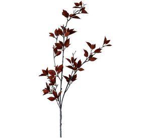 Rama Decorativa de Eucalipto Rojo 120 Cms.