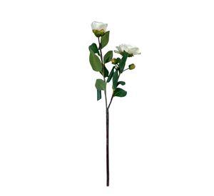 Camelia Blanca 52cm