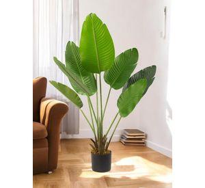 Planta Decorativa Ave Del Paraiso 120 Cm Verde