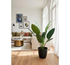 Planta Decorativa Ave Del Paraiso 120 Cm Verde