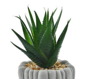 Planta Decorativa Artificial Aloe Piedra