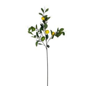 Rama De Limon 95cm