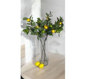 Rama De Limon 95cm