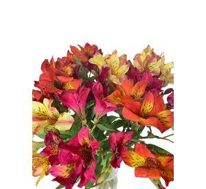 Astromelia Amarilla Rosa de 63 cm Artificial | Estilo Natural para Interiores y Vitrinas