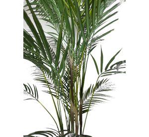Areca Hoja Fina 150 cm Artificial | Estilo Natural para Interiores y Vitrinas