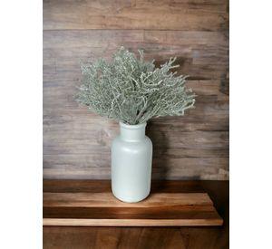 Arbusto Gris 30cm