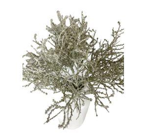 Pasto Gris 30cm Artificial | Estilo Natural para Interiores y Vitrinas