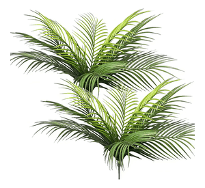 Rama palma tropical hojas decoración verde