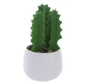 Planta Decor Cactus Suculento 25 Cms Maceta Blanca