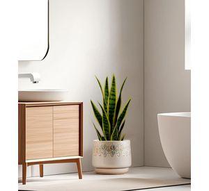Planta Artificial Decorativa Creativa Maceta Hogar Jhn
