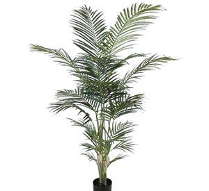 Planta Decorativa Palmera Areca 150Cm