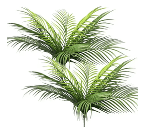 Rama palma tropical hojas decoración