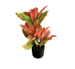 Adorno Planta Artificial Maceta Croton 55 CM