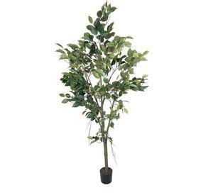 PLANTA DECORATIVA COREL ARBOL DE FICUS 150CM