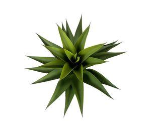 Agave Con Hoja Cerrada 75cm Artificial | Estilo Natural para Interiores y Vitrinas