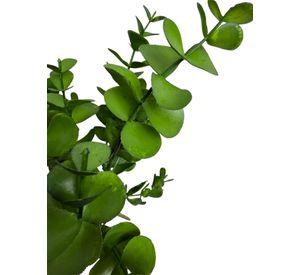 Ramo Eucalipto de 34cm Artificial | Estilo Natural para Interiores y Vitrinas