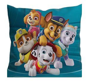 Cojín Paw Patrol D5