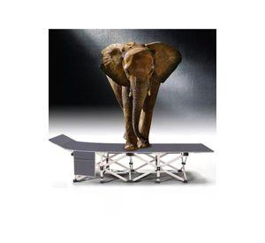 Catre cama campaña camping plegable + bolsa gris
