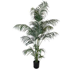 Areca 150cm Artificial | Estilo Natural para Interiores y Vitrinas