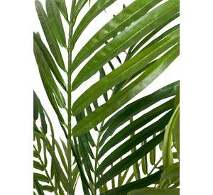 Areca 150cm Artificial | Estilo Natural para Interiores y Vitrinas