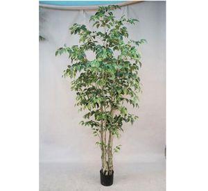 Árbol Ficus 240cm
