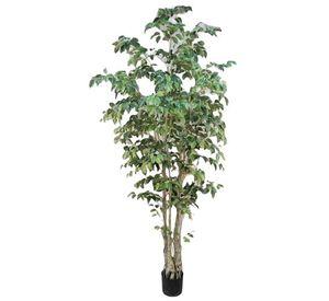 Árbol Ficus 240cm