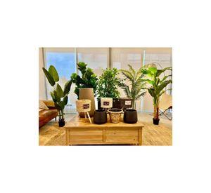 Planta Artificial Banano 120cm Luxury 12 Hjs / Arbusto Real