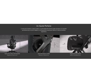 Silla Profesional ergonómica Cougar Speeder