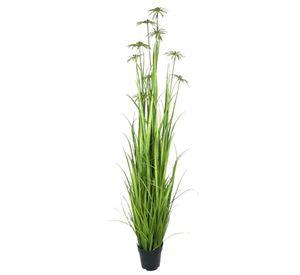 PLANTA DECORATIVA COREL PASTO CON PAPIRO 180CM