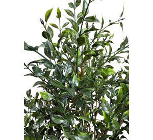 Arbusto Boxwood 76cm Artificial | Estilo Natural para Interiores y Vitrinas