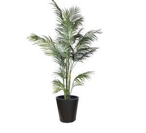 Areca 210cm Artificial | Estilo Natural para Interiores y Vitrinas