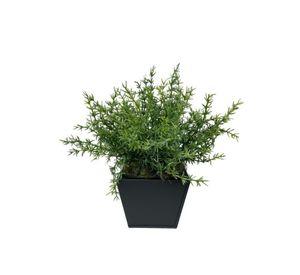 Arreglo De Arbusto Romero 35cm Artificial | Estilo Natural para Interiores y Vitrinas