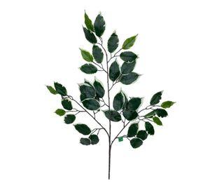 Rama Artificial De Ficus Variegada 50cm Artificial | Estilo Natural para Interiores y Vitrinas