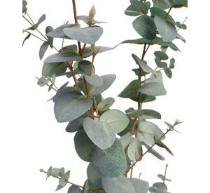 PLANTA DECORATIVA COREL ARBOL DE EUCALIPTO 180CM