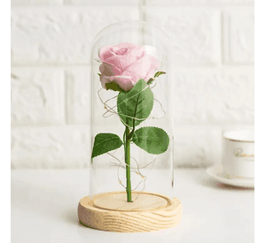 Cúpula rosa corazón vidrio luz día madre