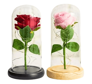Cúpula rosa corazón vidrio luz día madre