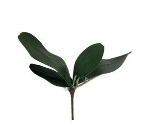 Hojas de Orquídea 24cm Artificial | Estilo Natural para Interiores y Vitrinas
