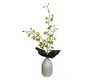 Hojas de Orquídea 24cm Artificial | Estilo Natural para Interiores y Vitrinas