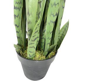 Planta Sansevieria Verde 90cm