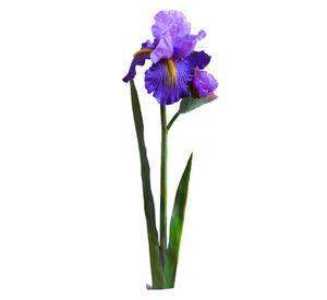 Lirio Morado Flor Artificial by Le Bouquet 65 cm