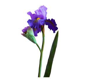 Lirio Morado Flor Artificial by Le Bouquet 65 cm