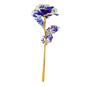Rosa tornasol regalo mamá amor