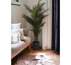 Palmera Areca Hoja Fina 150cm