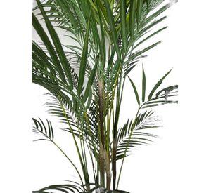 Areca Hoja Fina 183 cm Artificial | Estilo Natural para Interiores y Vitrinas