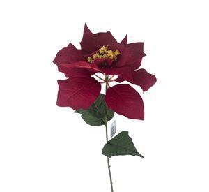 Poinsettia Roja 75cm