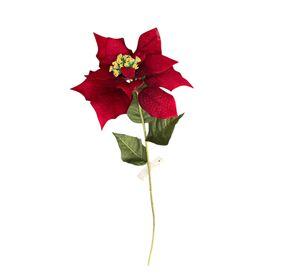 Poinsettia Roja 75cm