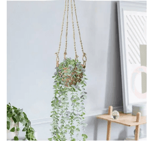 Macetero planta colgante 60 cm interior exterior