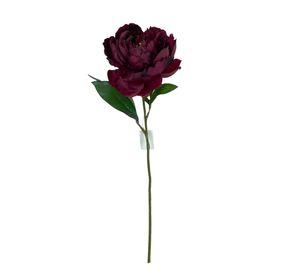 Peonia Burdeo 45cm