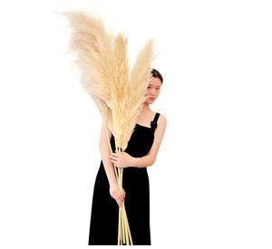 Set 2 Plantas Pampas Artificiales Esponjosa Deco Bohemia Lau