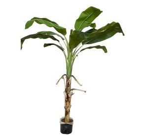 Planta Decorativa Arbol De Banano 175Cm